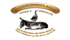Mme NOTTARIS